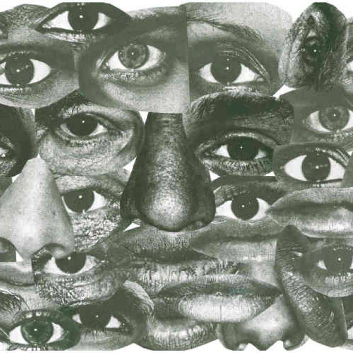 Collin: Die Familie der Augen